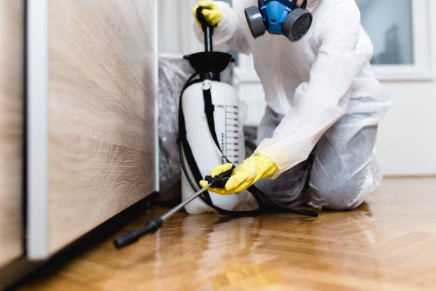 Best Emergency Pest Control  in Buena, NJ
