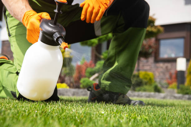 Best Residential Pest Control  in Buena, NJ
