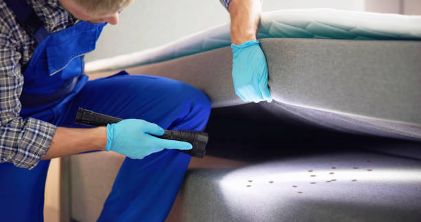 Best Mosquito Control Services  in Buena, NJ